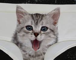 chat
